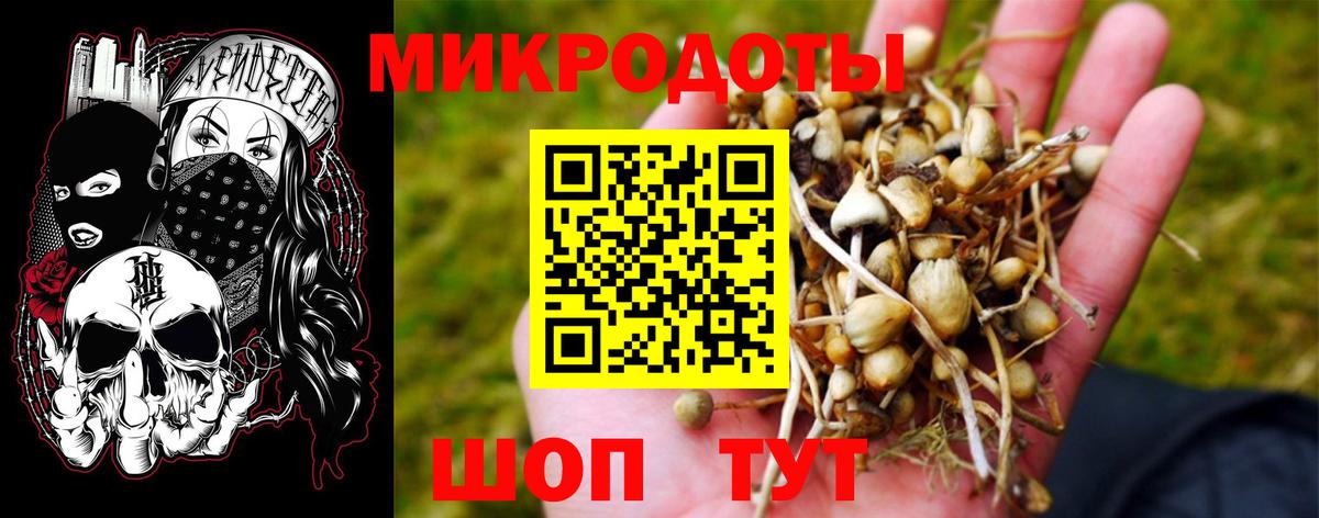 Галлюциногенные грибы Psilocybe Советский